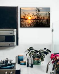 Plants Sunset