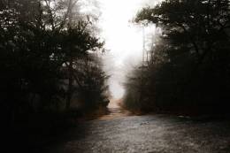 Road