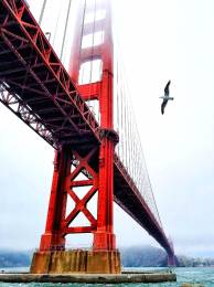 Bridge