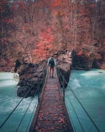 Bridge