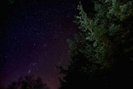 Stars