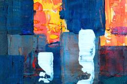 Steve Johnson 14