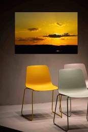 Sunset Rays