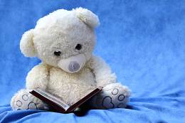 Teddy Bear