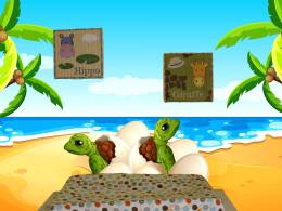 Turtles