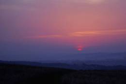 Violet Sky