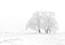 Snowy weather